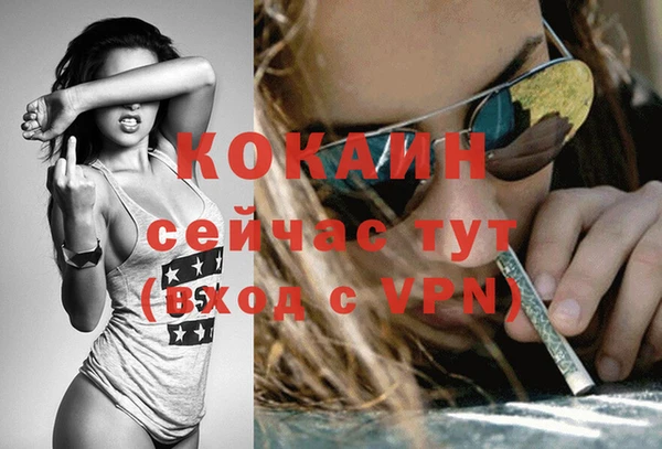 2c-b Карпинск