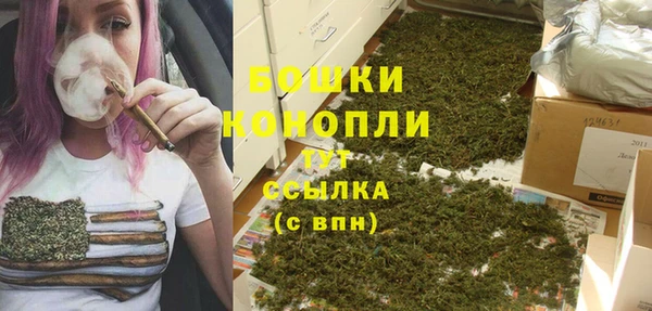 2c-b Карпинск